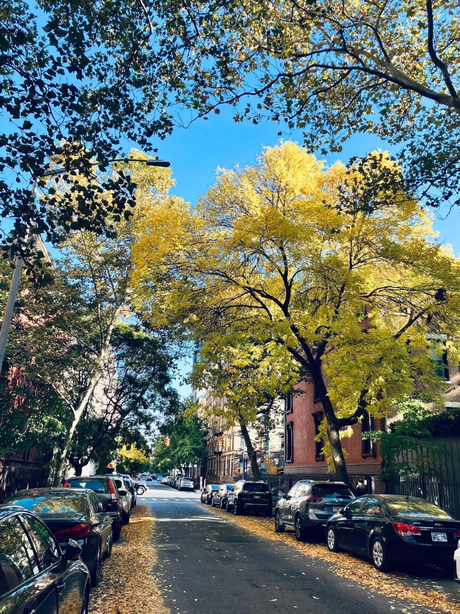 Harlem Grand Bed & Breakfast Ню Йорк Екстериор снимка