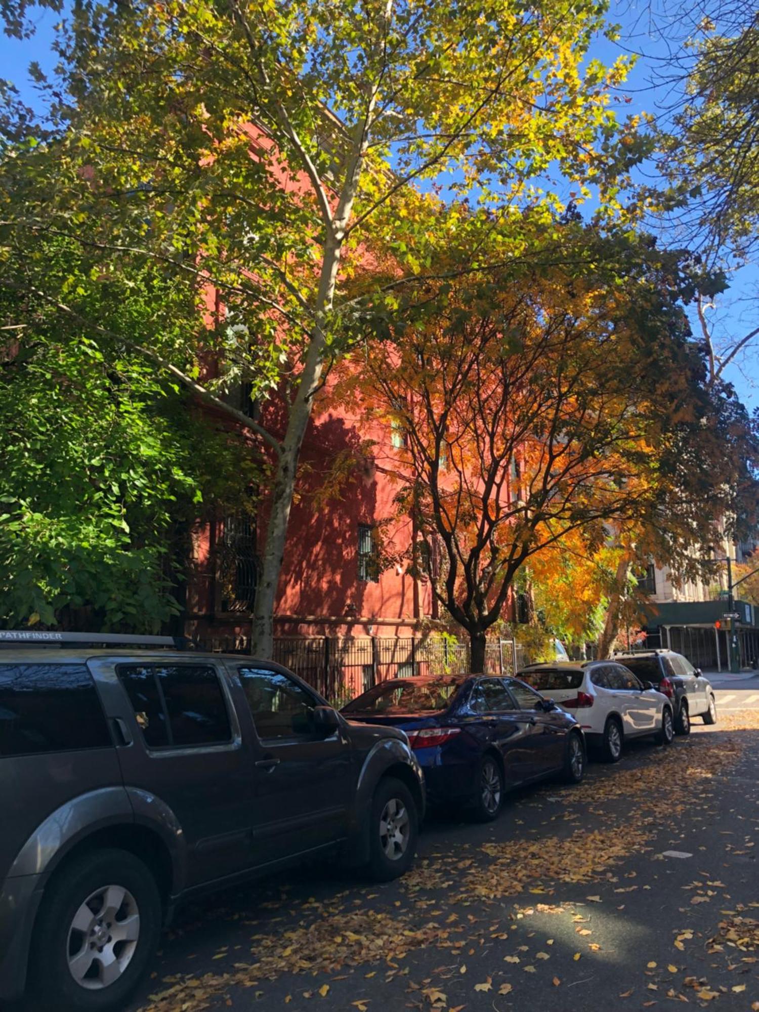 Harlem Grand Bed & Breakfast Ню Йорк Екстериор снимка